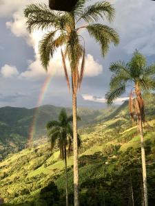 Casa Baú’au Vista Única Conforto em Familia