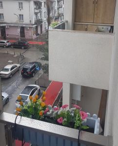 david apartament