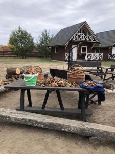 Agroturystyka Stajnia Zwierzyniec