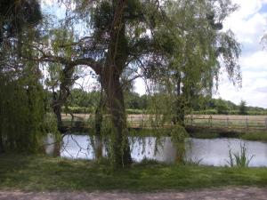 Le Domaine du Mijarnier photo 12