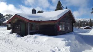 Superior Apartment with Sauna Orren & Tjädern room in Sälens Bed & Breakfast Apartments