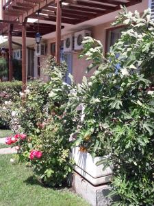 Garden of Eden privat apartament Diana