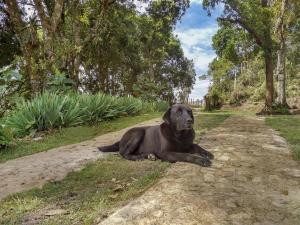 Glamping Finca Corazón