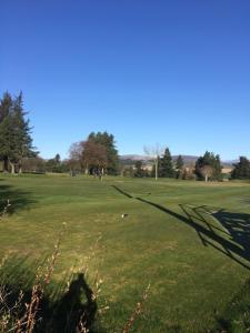 Cosy Kirriemuir Flat - Private Retreat - Pet Friendly