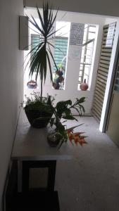 Departamentos de la Reina Roja