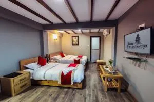 Inn Sangrahalaya - Changunarayan