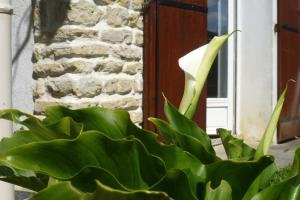 Maisons de vacances Gite La Cibulle : photos des chambres