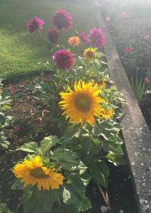 Large 5 Bedroom Home in Shankill South Dublin