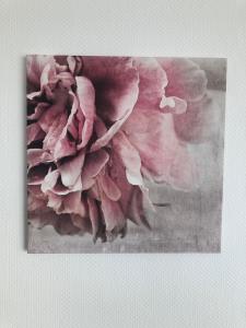 eifelTIME - Ferienwohnung