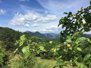 Domek Komfortowy Dom w Krościenku nad Dunajcem Krościenko Polska