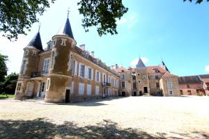 Château dIsland Vézelay