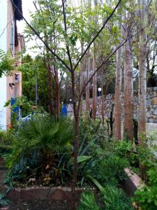 9 Musses Hotel Apartments Lesvos Greece