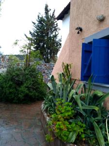 9 Musses Hotel Apartments Lesvos Greece