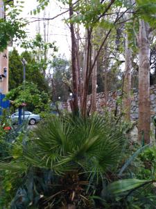9 Musses Hotel Apartments Lesvos Greece