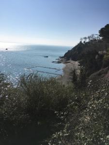 Appartements L'abri des flots - Cancale : photos des chambres