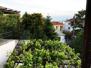 Kali, in the heart of Portaria, quiet and cozy Pelion Greece