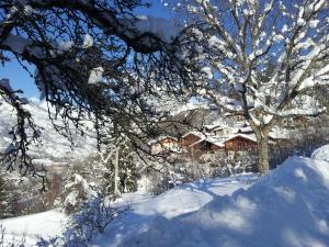 Chalets Chalet d'Heidi : photos des chambres