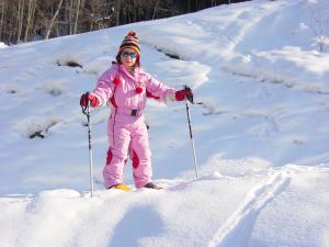 Chalets Chalet d'Heidi : photos des chambres