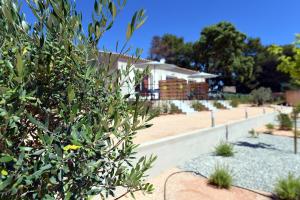 B&B / Chambres d'hotes Sous Les Pins gites et chambres d'hotes : photos des chambres