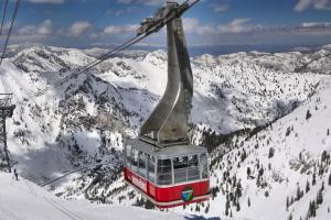 Cottonwood Convenience