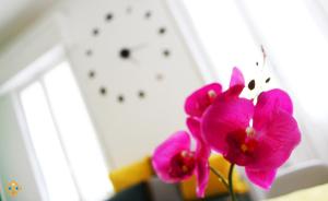 Sa Domu de Ajaja Apartments img26