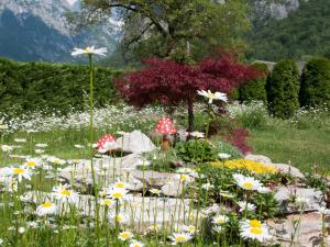 Apartments and rooms Nataša 1 