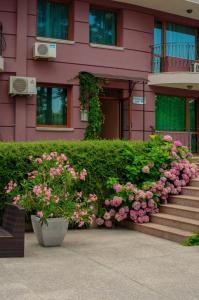 3 star apartament Purple Star Apartments Sf. Constantin și Elena Bulgaria