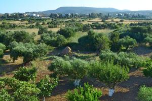 Theofilos Appartements Kythira Greece