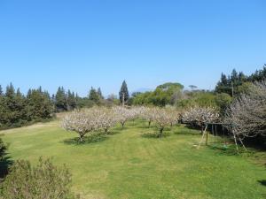 Appartements Gite Crillon - Mas Les Fleurs d'Hilaire : photos des chambres