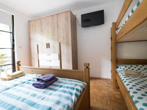 Apartma Matajurc 