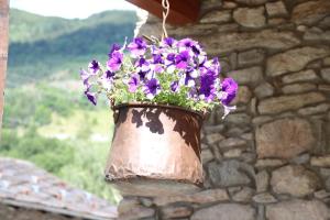 La casa di nonno "cien"