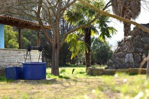 Villa close to the beach