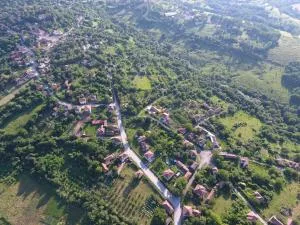 Онгъл юг - Kŭrpachevo