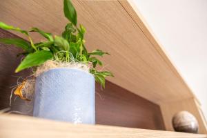 Casa Goloritzè img21