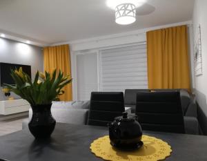 Luksusowy apartament z widokiem na jezioro