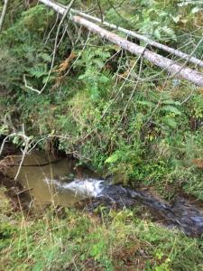 Agriturismo Fiorella