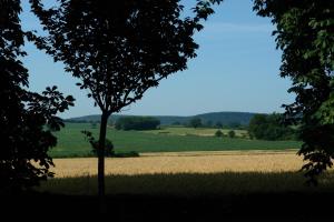 B&B / Chambres d'hotes Chambres d'Hotes - Domaine Des Perrieres : photos des chambres