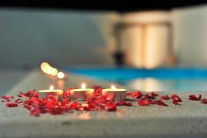 Villa Lily ZadarVillas