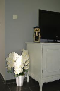 Apartman Bebe in old town- with FREE PARKING