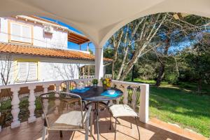 Apartments in pinewood near the sea 