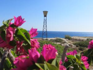 Nicolas Apartments Lasithi Greece