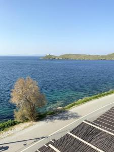 Aqua Blue, only 100 meters from the beach of Gialiskari