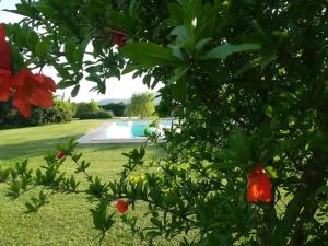 Počitniška hiša Il casale dei girasoli Country House in Capalbio Capalbio Italija