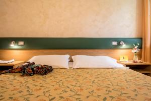 Classic Double or Twin Room room in Hotel Vega Perugia