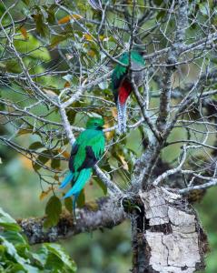 Cabañas San Gerardo