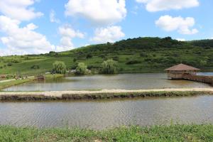 Ardelean Lake House
