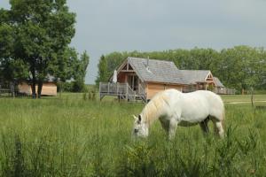 Lodges Shanti Lac Cabanes gites insolites et espace bien-etre Bordeaux : photos des chambres