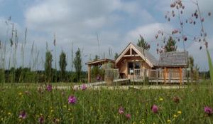 Lodges Shanti Lac Cabanes gites insolites et espace bien-etre Bordeaux : photos des chambres