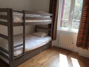 Magnifique et lumineux appartement au cœur du Sancy