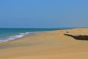 Dune Towers